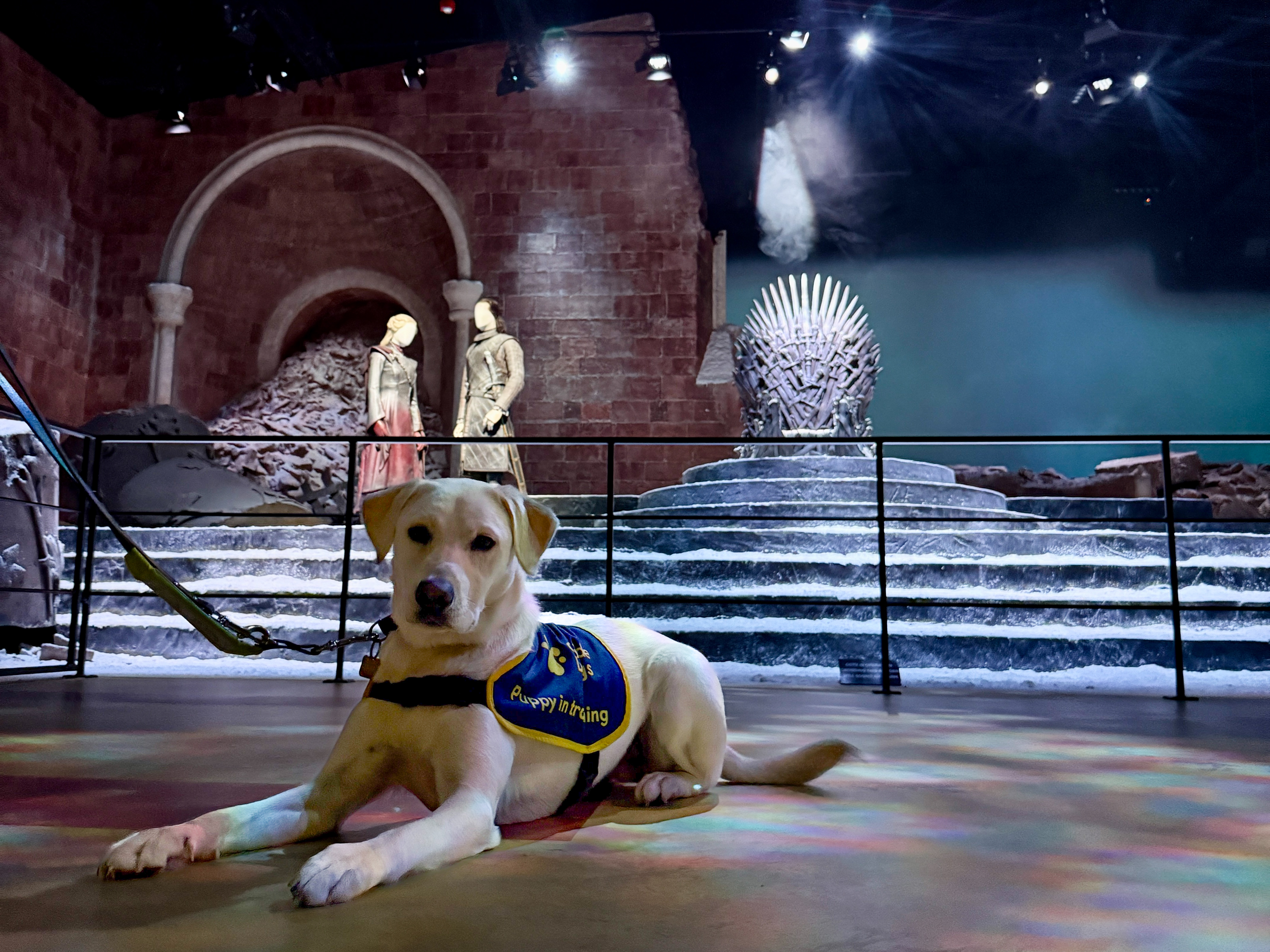 Guide Dog Throne Room
