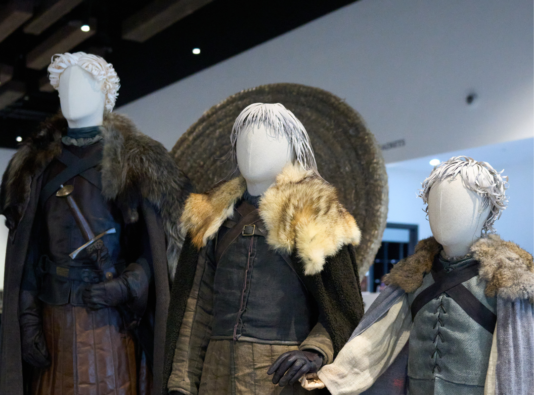 Beyond The Wall Carousel Adults