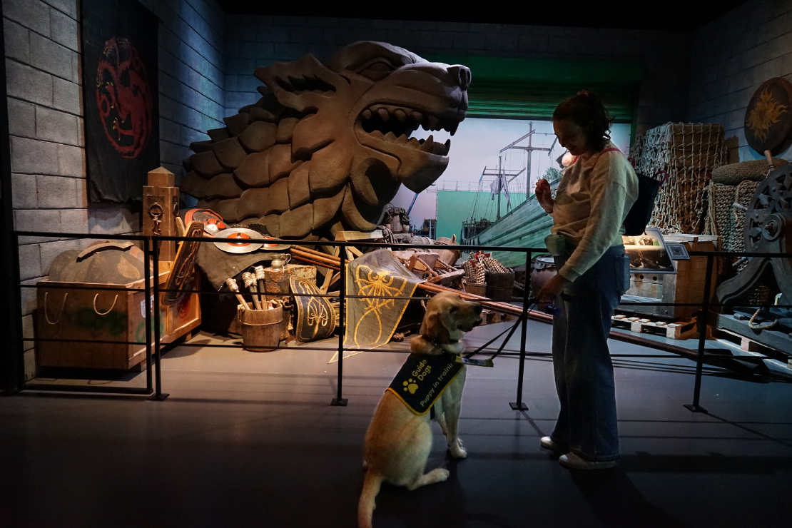 Guide Dog Statics Carousel
